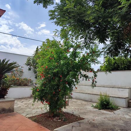 Mamasita Apartment Cutrofiano Ngoại thất bức ảnh